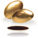Dragées Chocolat Or