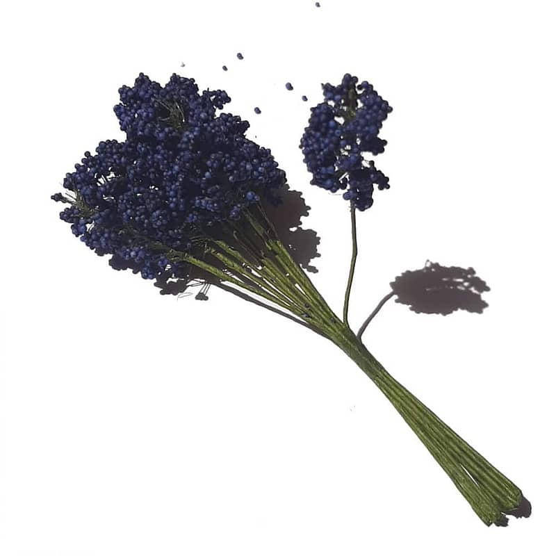 GYPSOPHILE VIOLET