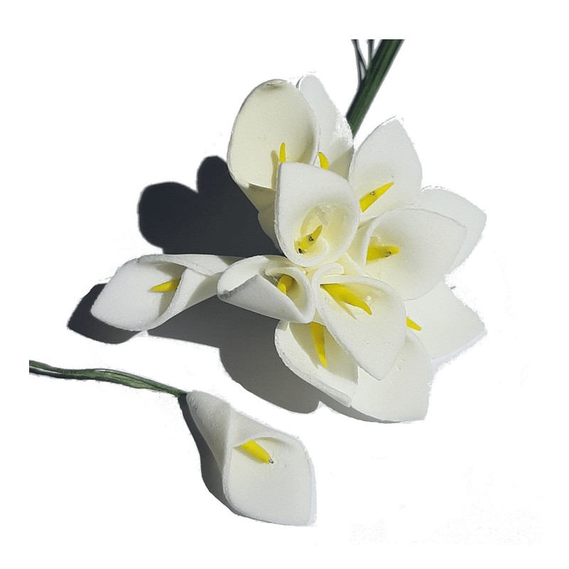 arum blanc