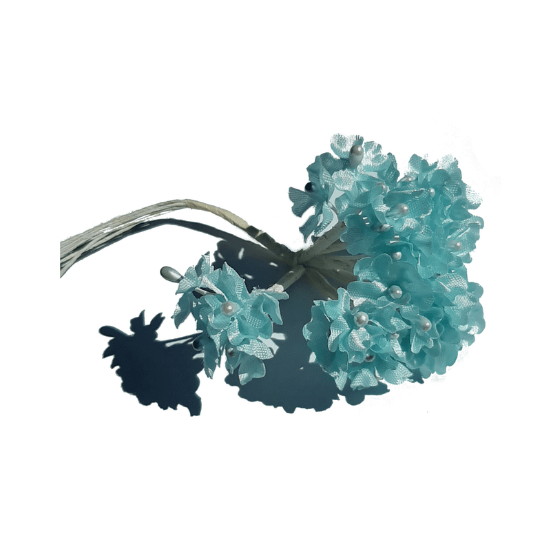 fleur myosotis bleu
