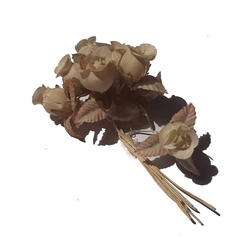 rose blanche ancien