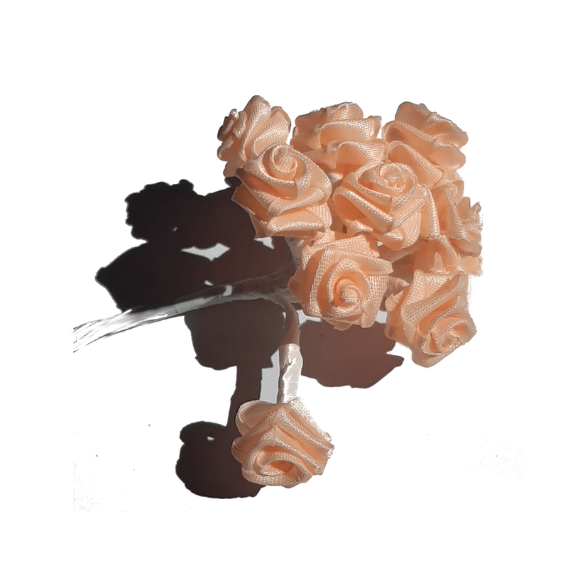 mini rose saumon