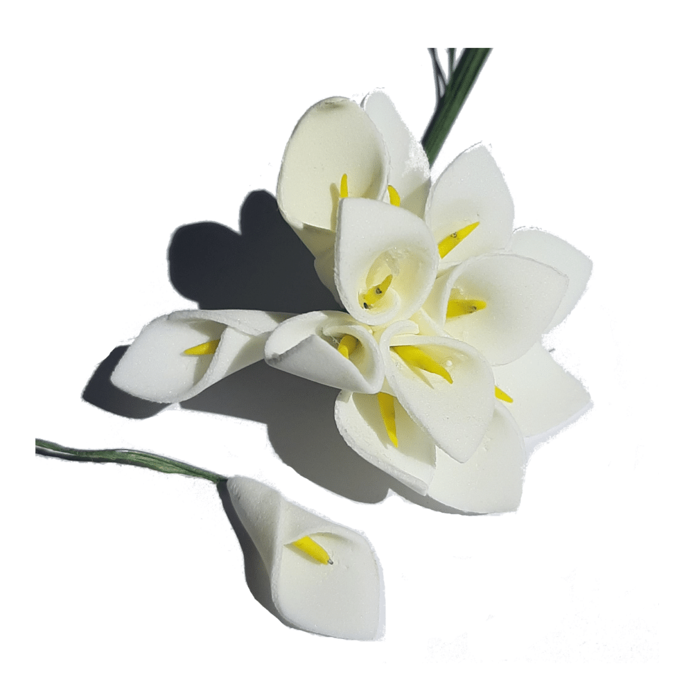 Fleur Arum blanche