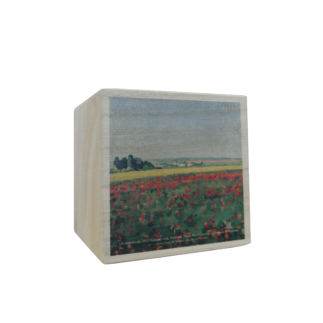 Cube bois ” MARCEL LENOIR” garni 400 gr